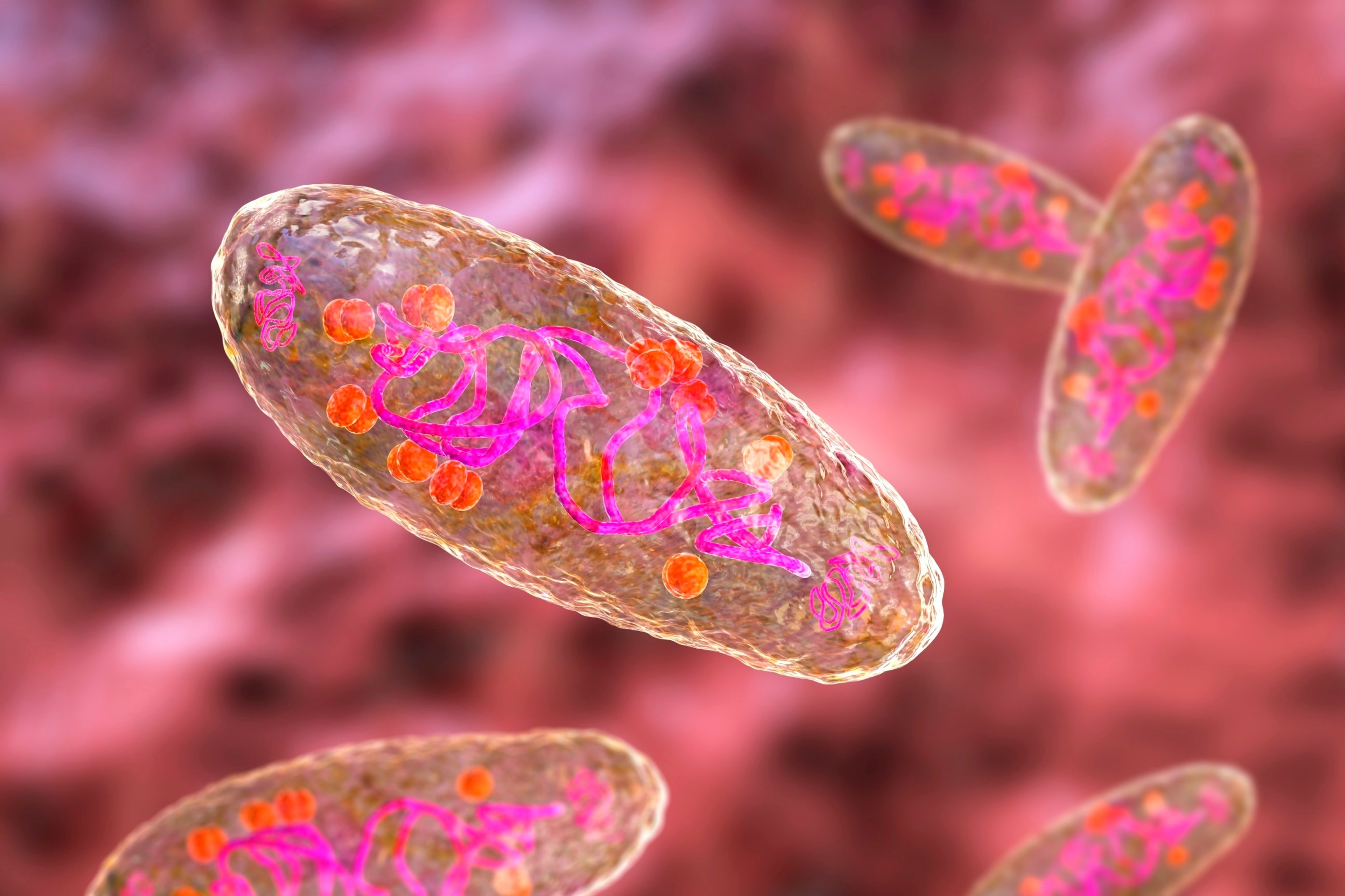 PHOTO: Computer illustration of plague bacteria is seen here in an undated stock photo.