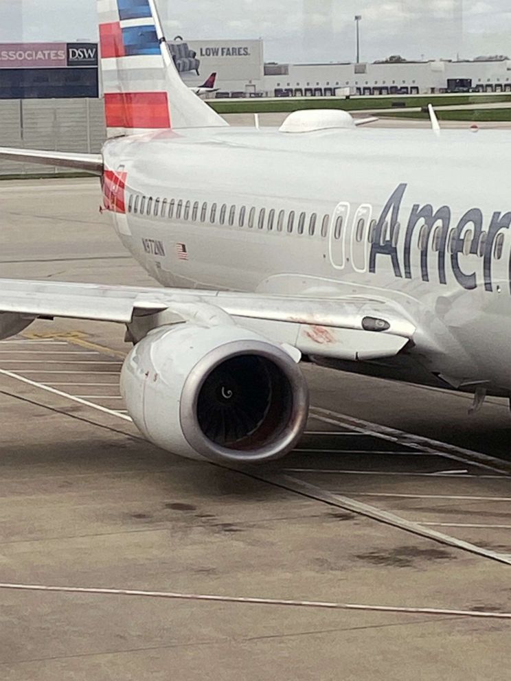 Possible bird strike forces American Airlines plane to return to Ohio airport.