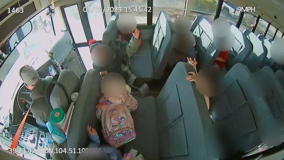 School Bus Driver Charged with 30 Counts of Child Abuse for Braking Hard in Video Footage