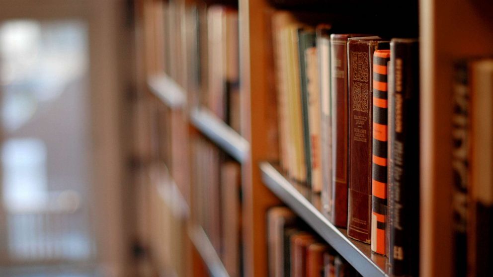 Texas library system's future at risk due to ongoing battle over book bans