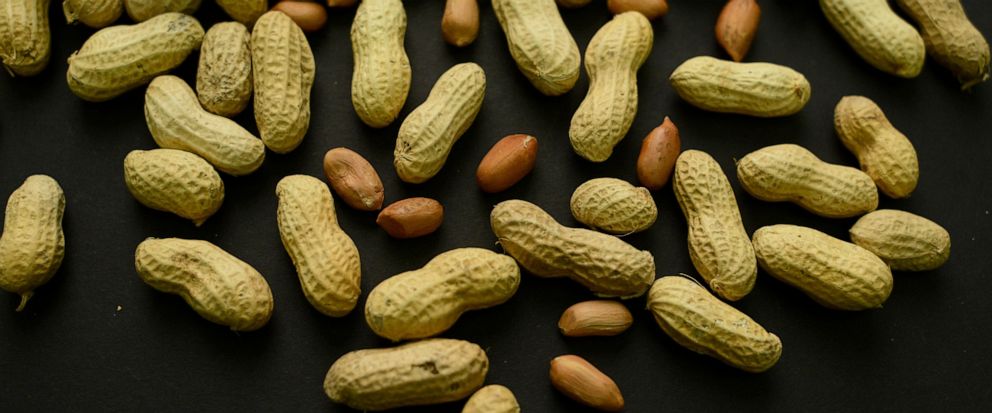 Promising Results of a Study on the Use of Skin Patches to Treat Peanut Allergies in Toddlers