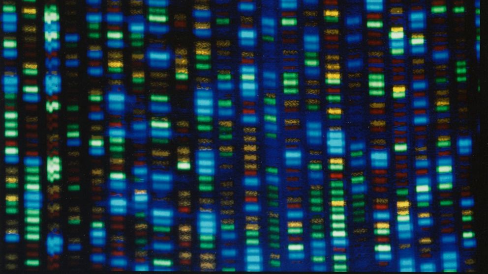 Scientists obtain diverse genome for comparison through DNA project