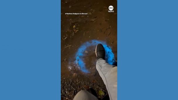 Australian Creek Reveals Bioluminescence Similar to 'Avatar' in Video Man's Discovery