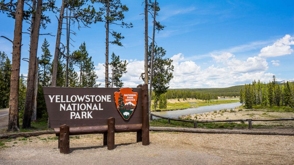 Tourist injured by bison in Yellowstone National Park