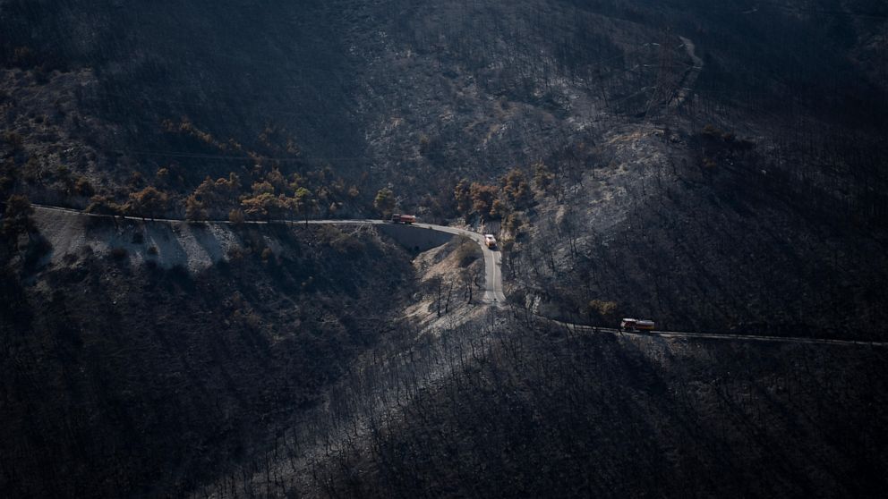 Arsonists Apprehended by Greek Fire Officials Amidst Ongoing Wildfires Ravaging the Country