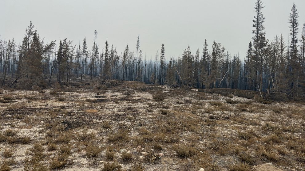 Thousands of residents evacuate as wildfire approaches capital of Canada's Northwest Territories, leading to city's evacuation.
