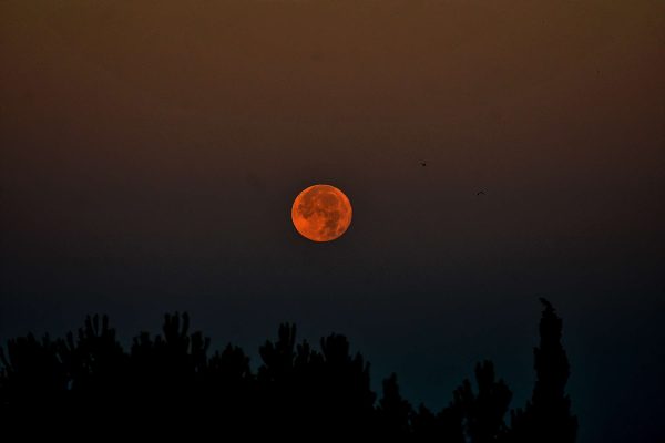 A Guide to Observing the Final Supermoon of 2023