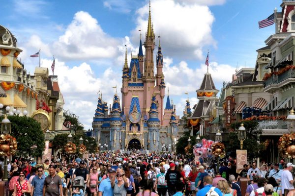 Sighting of Black Bear at Walt Disney World's Magic Kingdom Park