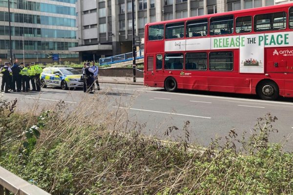 Tragic Incident in South London: 15-Year-Old Girl Fatally Stabbed