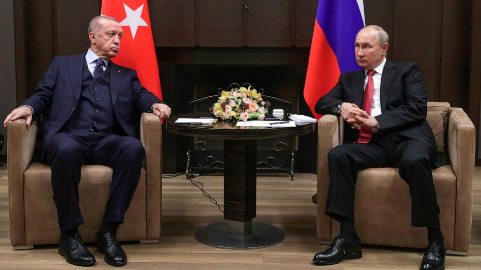 Turkey's President Holds Meeting with Russia's Putin to Revitalize the Ukraine Grain Export Agreement