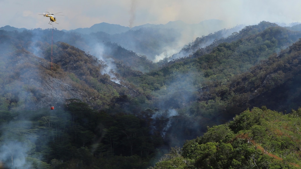 Destructive Wildfire Ravaging Irreplaceable Rainforest on Oahu, Hawaii