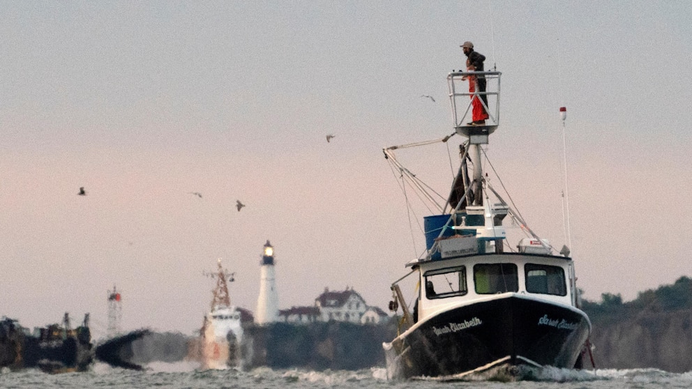 Lobsterman's Heroic Act: Jumping from Boat to Rescue Driver Trapped in Submerged Car in Bay