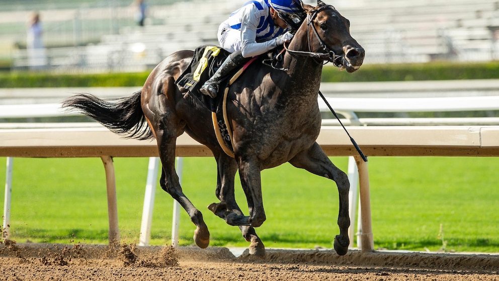 Second Horse Fatality Occurs at Santa Anita Prior to Breeders' Cup