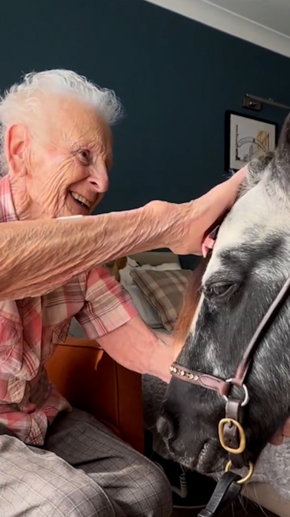 Watch How a Special Therapy Pony Brings Joy to Elderly People at Their Bedsides