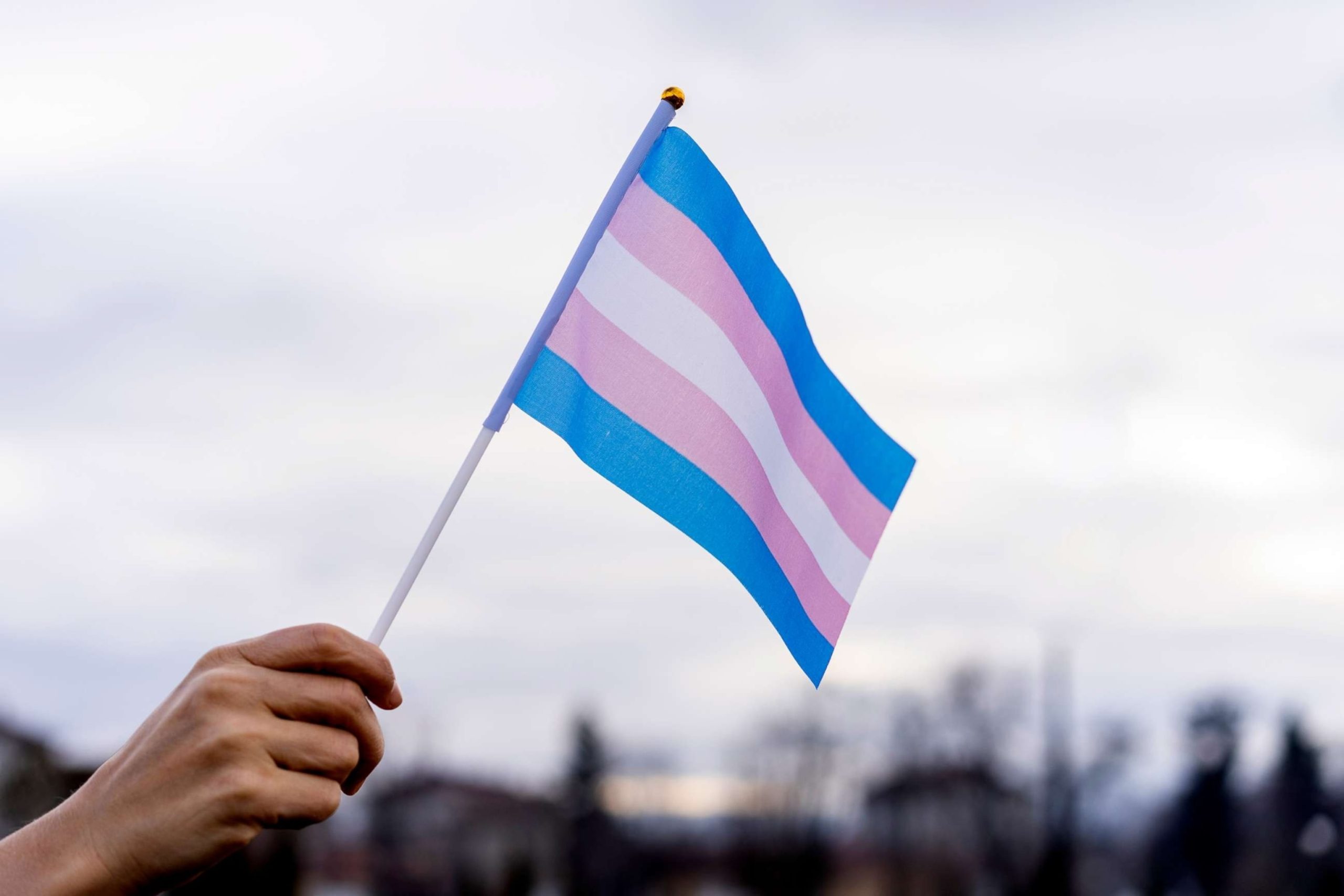 Federal Judge Halts Implementation of Idaho Ban on Gender-Affirming Transgender Care