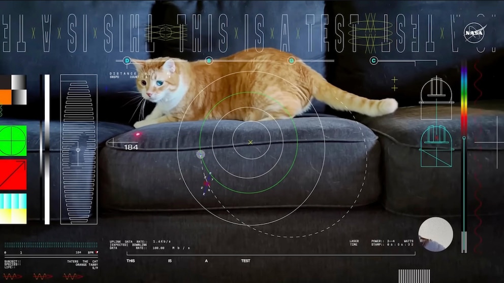 First video transmitted by laser from deep space features a captivating tabby cat named Taters