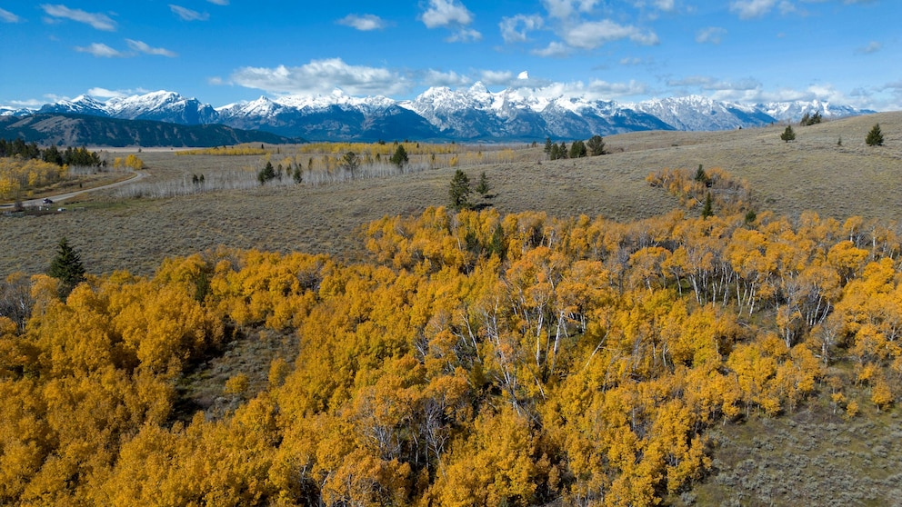 Potential Auction of Expansive Pristine Land within Grand Teton, Wyoming