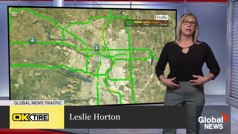 Traffic reporter addresses body shamer on live TV following cancer-related uterus removal