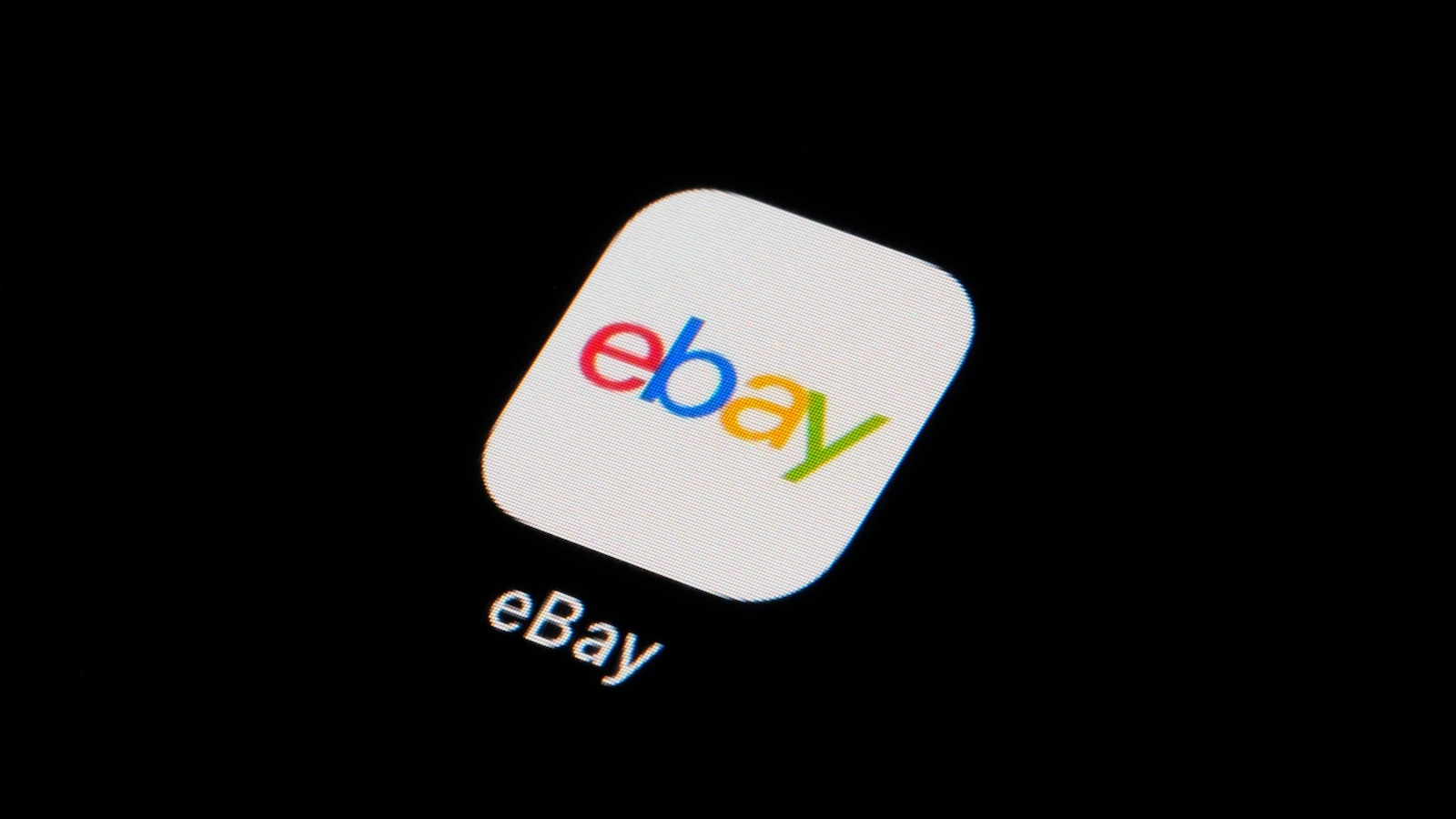 eBay Faces Federal Charges and $3M Penalty for Employees Sending Live Spiders and Cockroaches to Couple