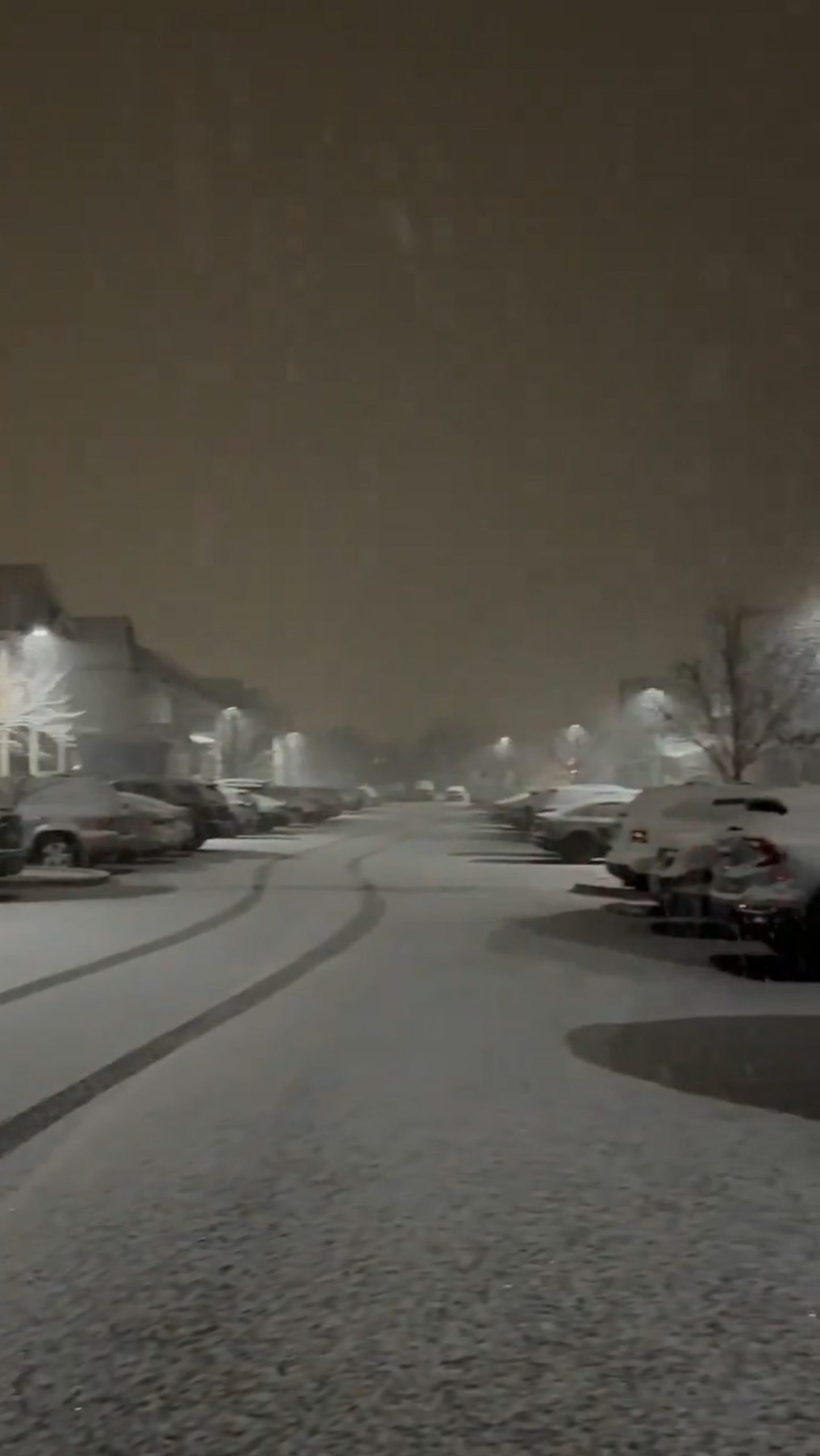 Northeastern regions hit by winter storm, Pennsylvania receives over a foot of snow