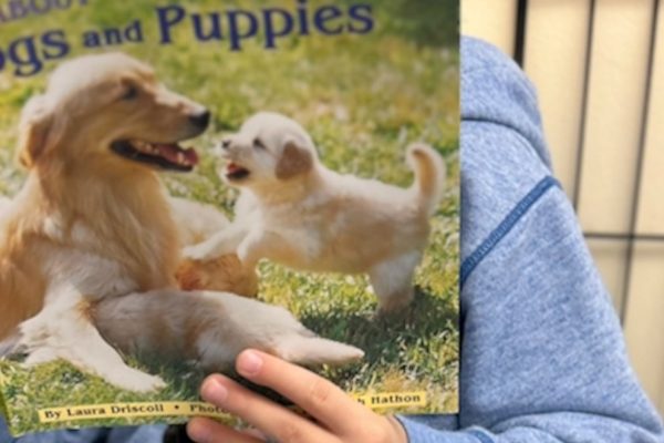How a First Grade Class Utilizes Foster Puppies to Improve Reading Skills