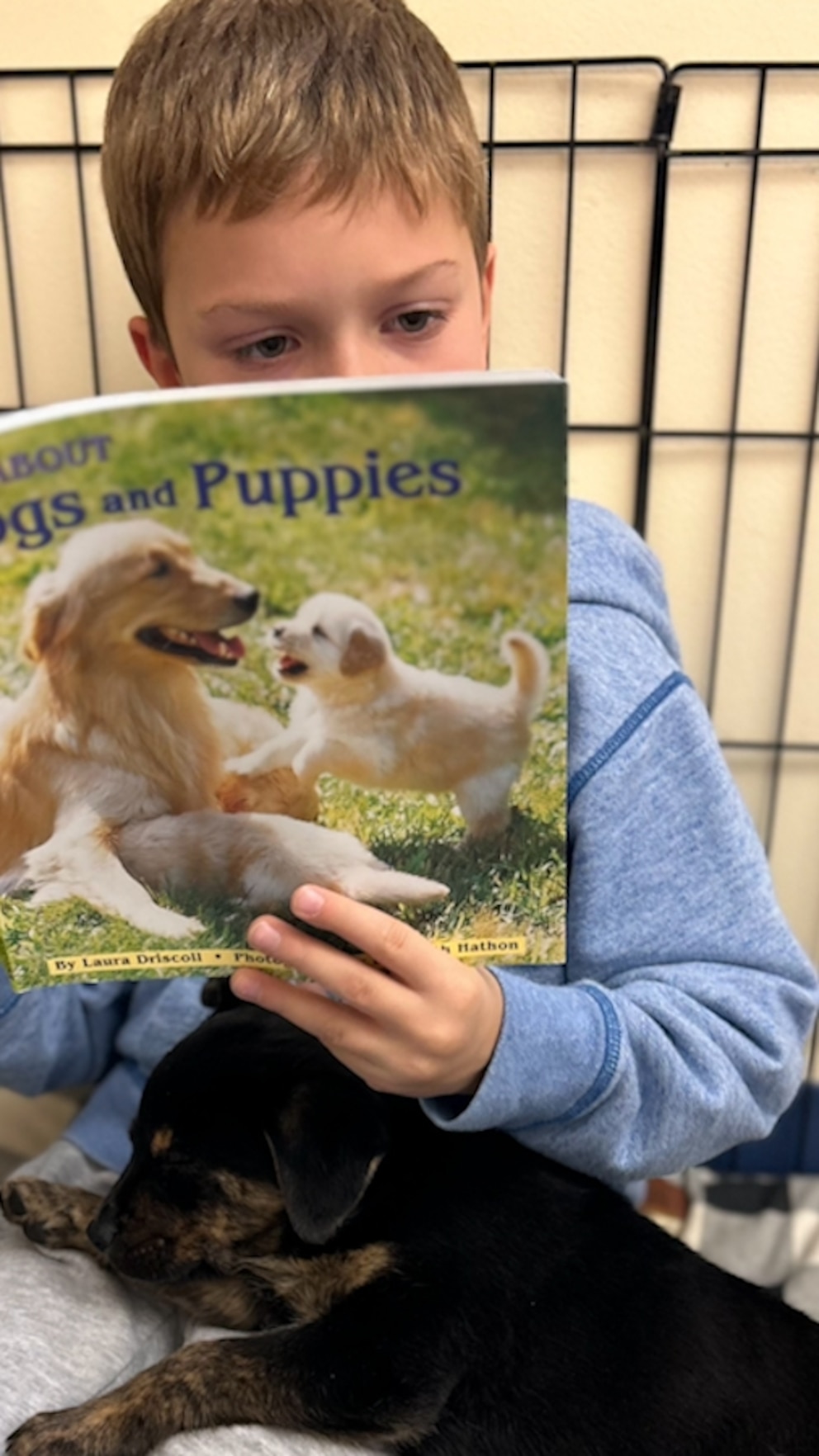 How a First Grade Class Utilizes Foster Puppies to Improve Reading Skills