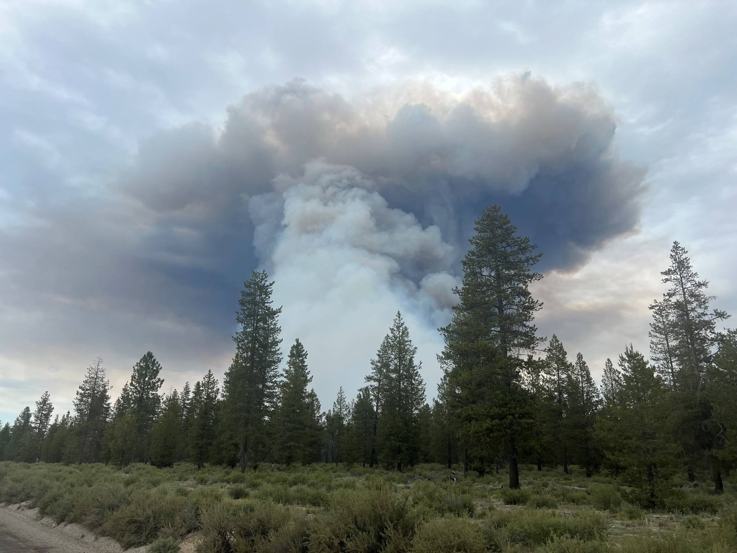 PHOTO: The Darlene 3 fire started in the afternoon, June 25, 2024, and spread overnight to 1,700 acres in Deschutes County, Ore.