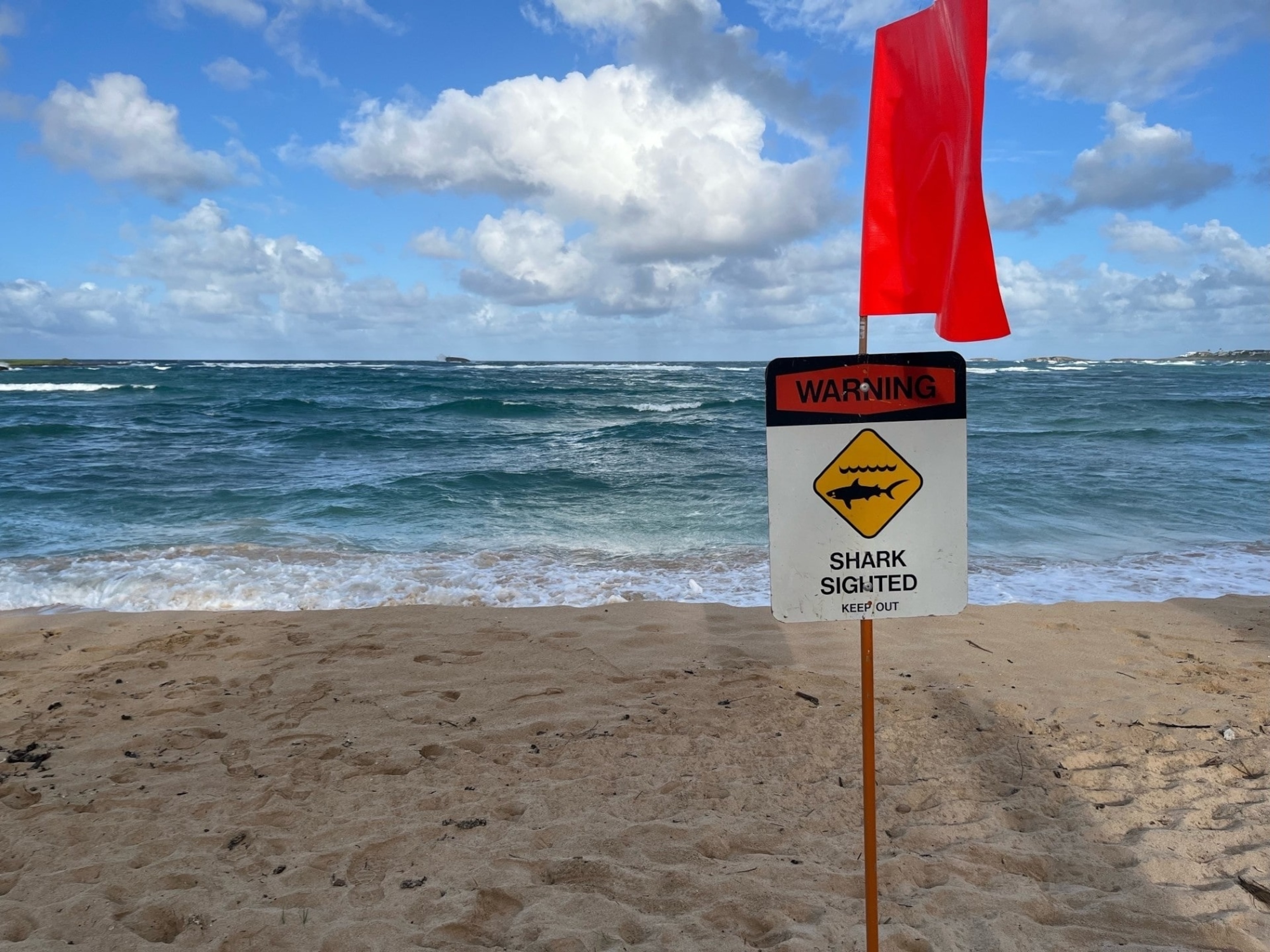 PHOTO: A sign posted at a beach in Oahu warns of a shark in the area, on the Hawaiian island's north short on June 23, 2024, in a photo supplied by the Honolulu Emergency Services Department.