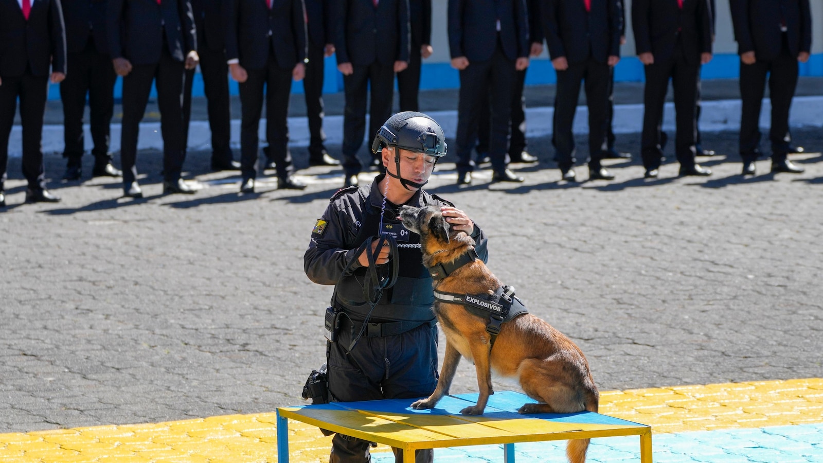 Five dogs from a military intelligence unit in Ecuador receive medals for their service in combating violence