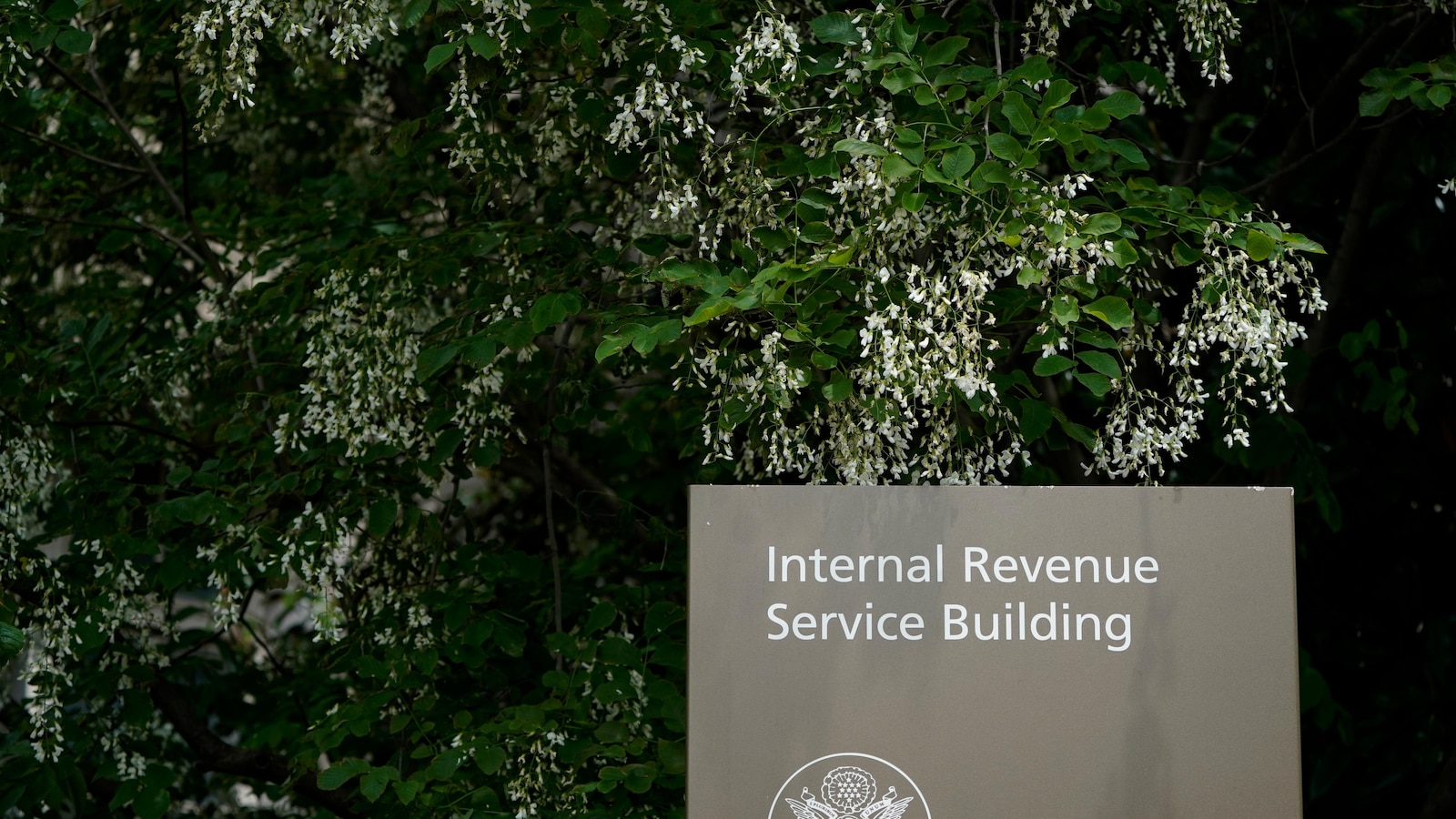 IRS Proposes Closing Major Tax Loophole for the Wealthy to Generate $50 Billion in Revenue