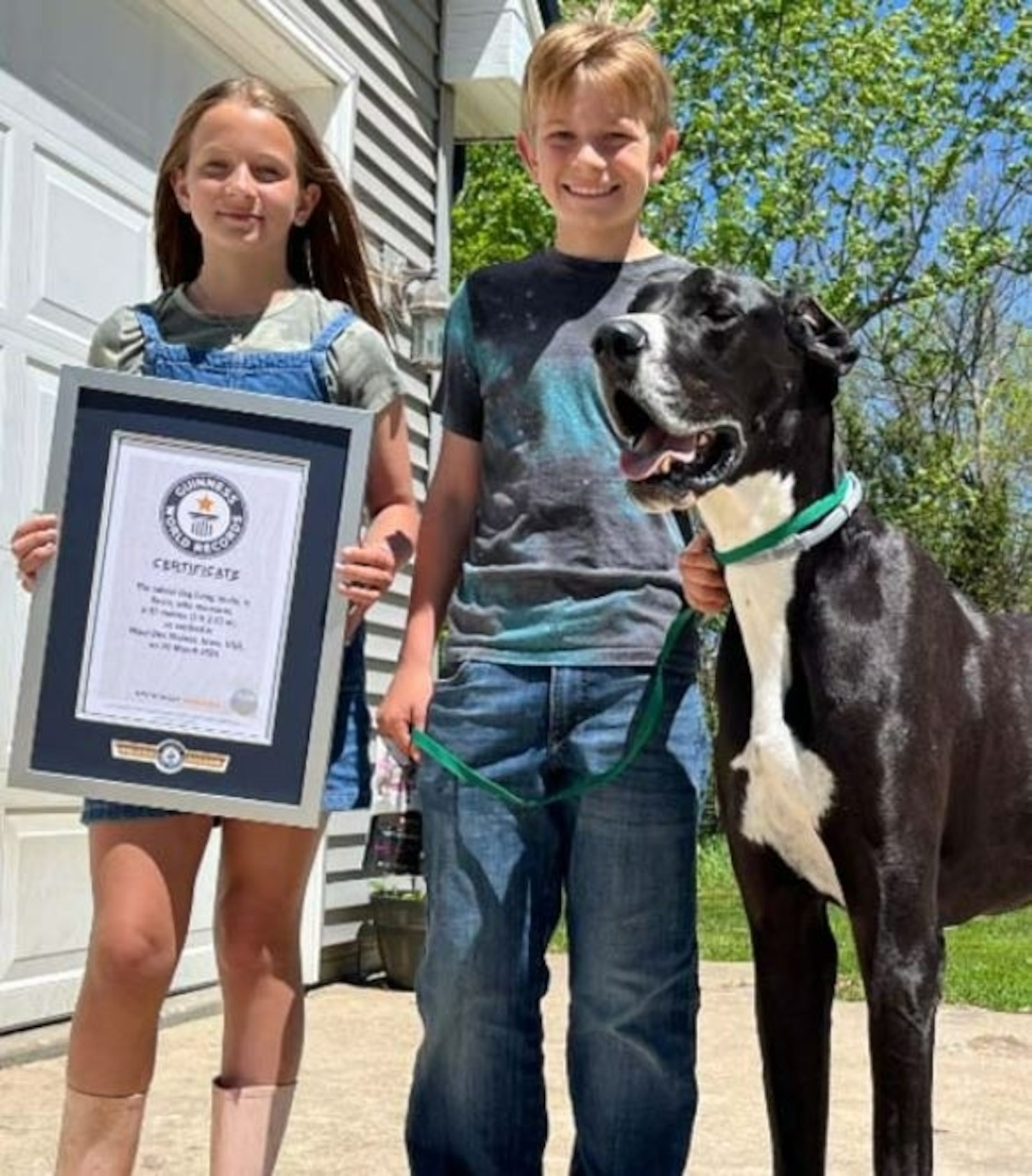 Kevin, the world's tallest dog at 7 feet on his hind legs, passes away shortly after setting record