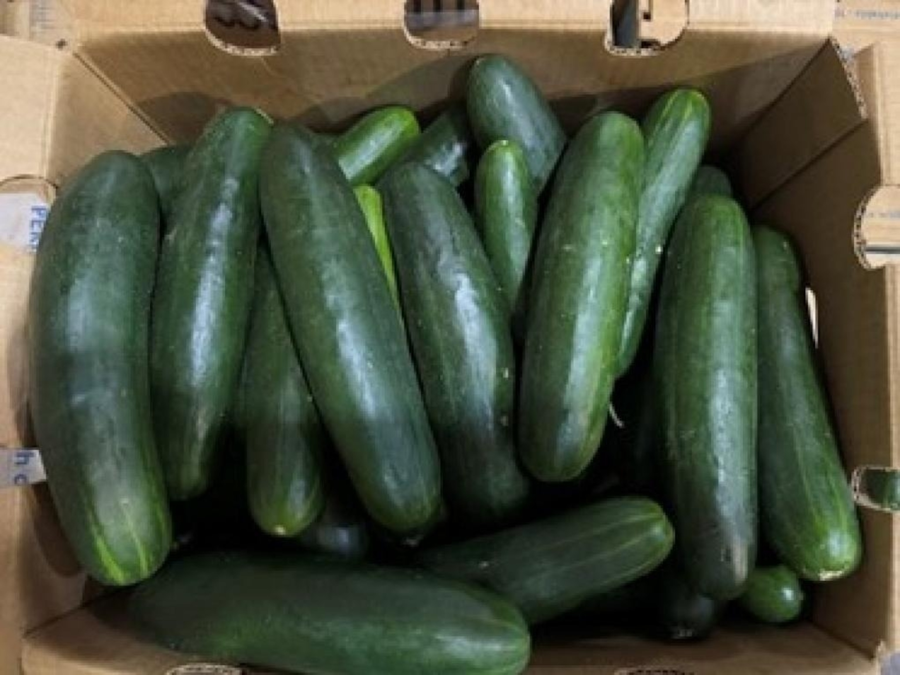 PHOTO: Fresh Start Produce Sales Inc. recalled whole cucumbers shipped to 14 states due to the potential to be contaminated with Salmonella.