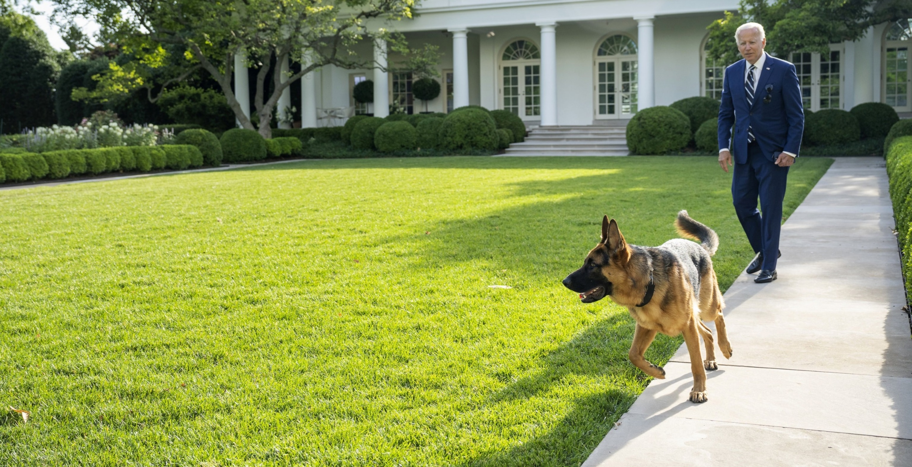 PHOTO: In this June 21, 2022, file photo, President Joe Biden walks with his dog Commander, in the Rose Garden of the White House, in Washington, D.C.