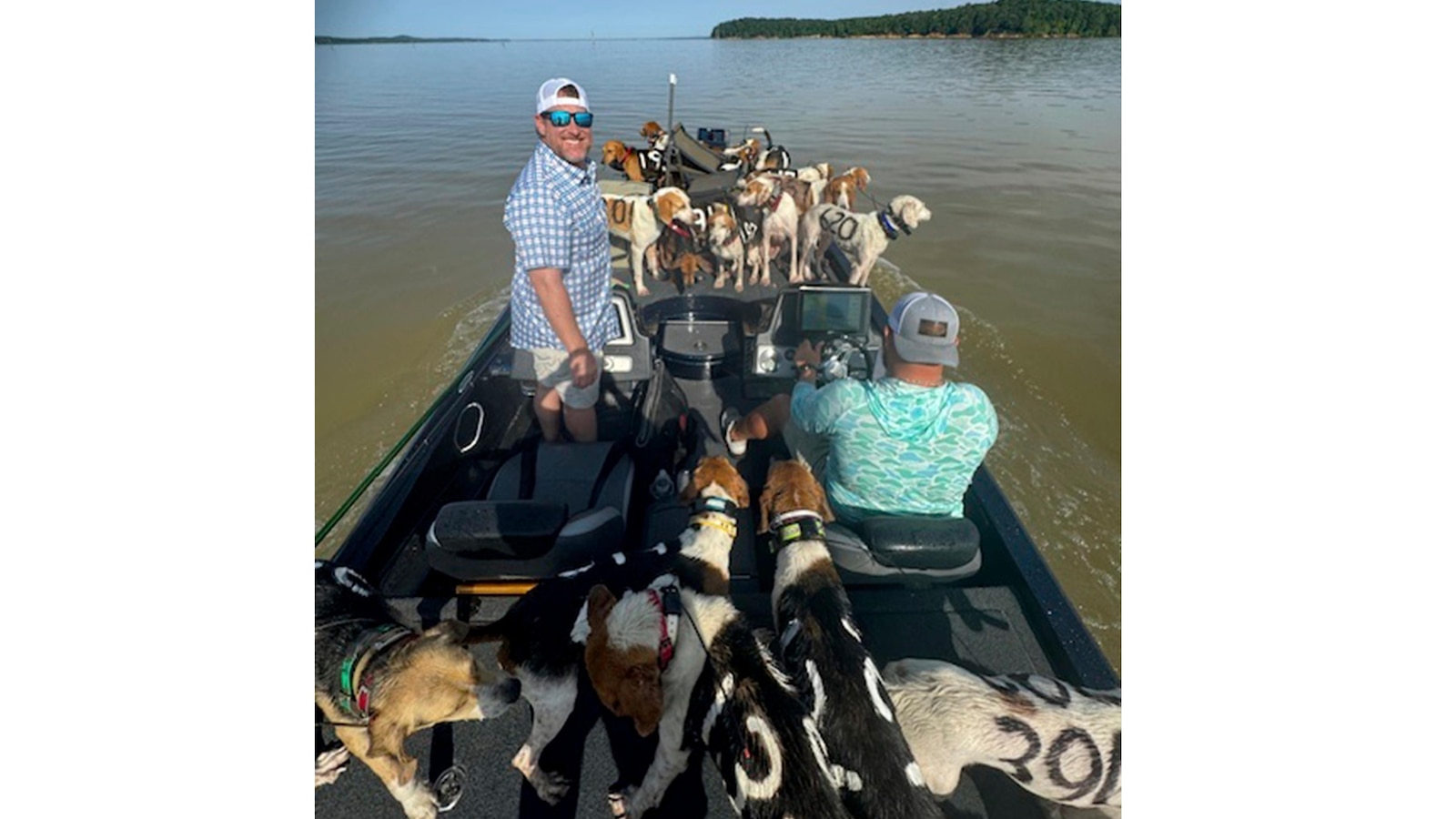 Rescue of 38 dogs from drowning on Mississippi lake by quick-thinking fishermen