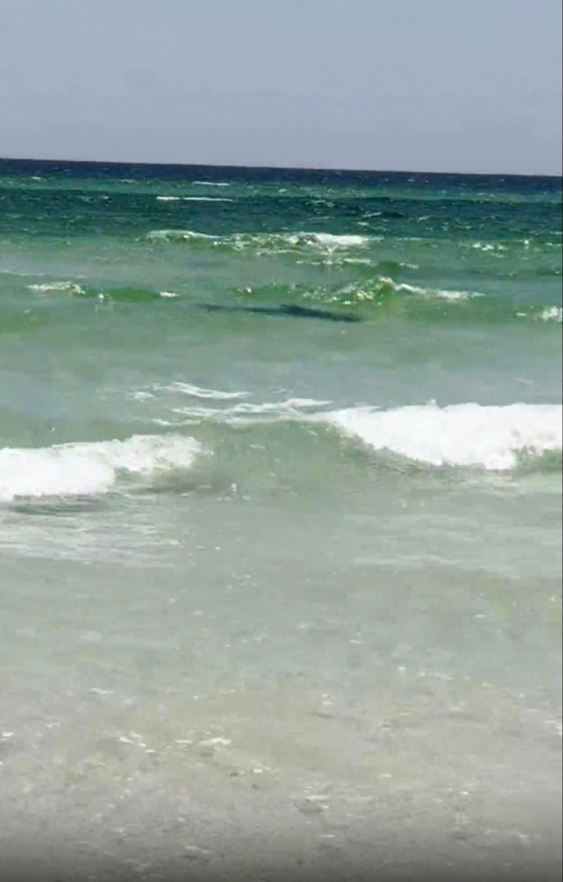 PHOTO: A shark is seen in the waters of Watersound Beach in Florida, June 7, 2024, shortly after an attack.