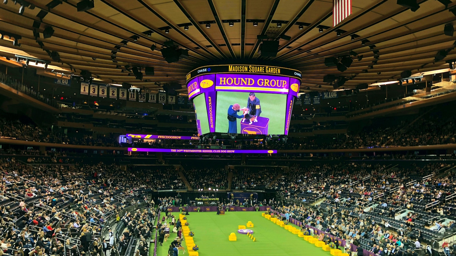 Westminster Dog Show to Return to Madison Square Garden in 2022