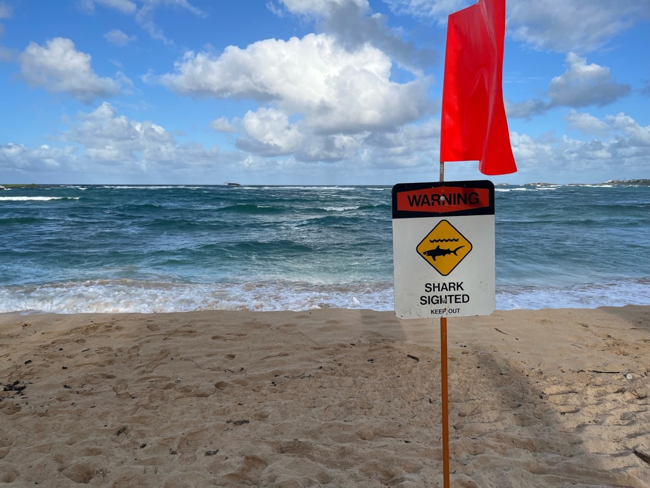 Young adult sustains injuries in suspected shark encounter off the coast of Hawaii