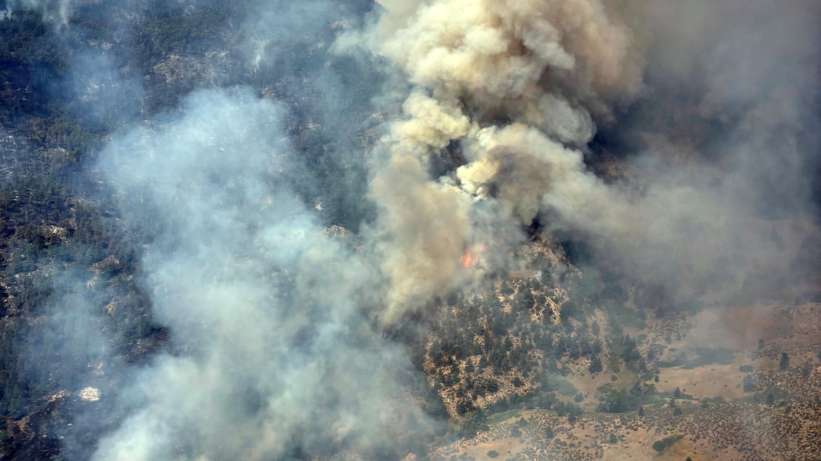 Human remains discovered in residence destroyed by Colorado wildfire