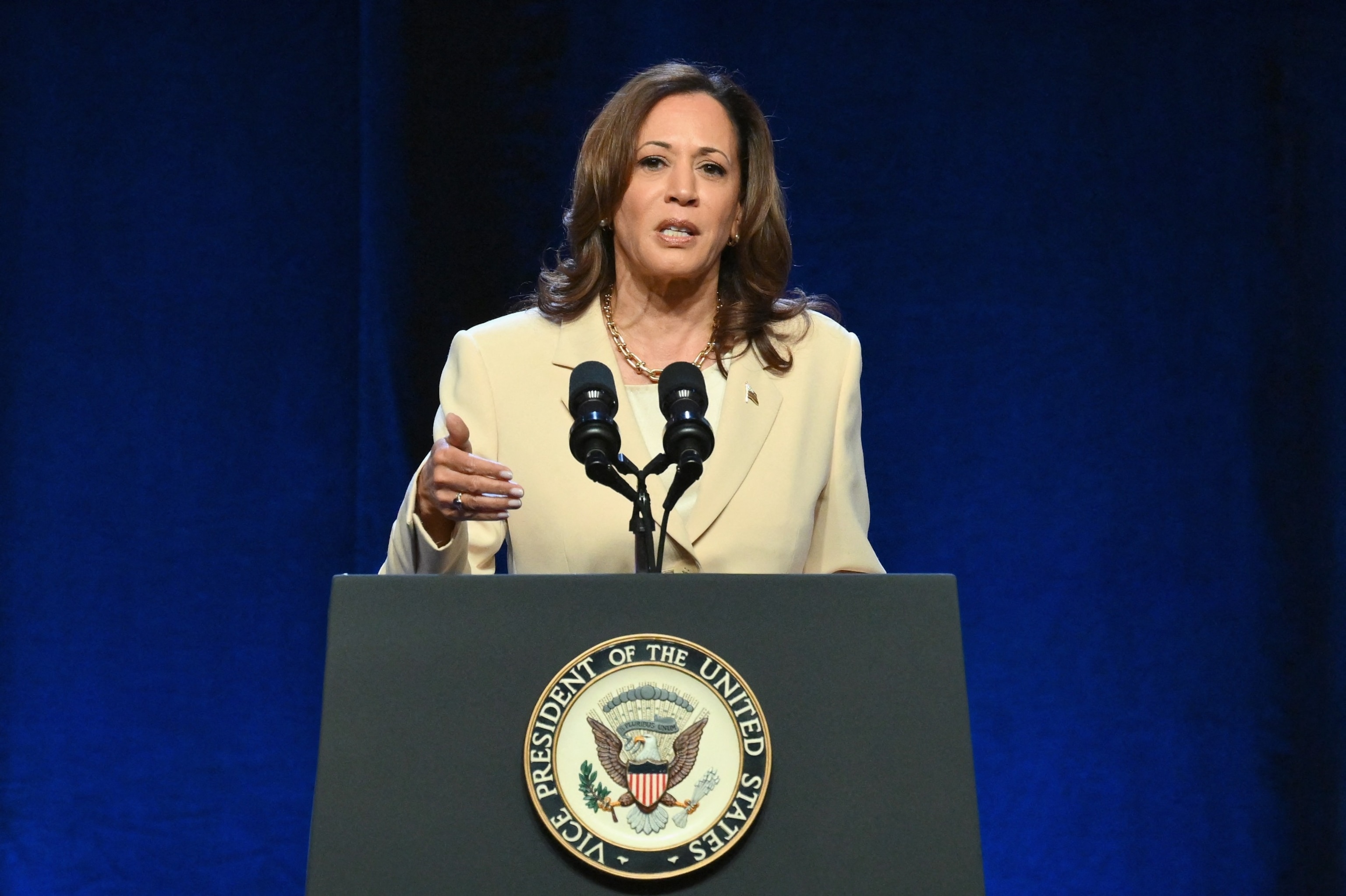 PHOTO: Vice President Kamala Harris speaks at the Constitutional Convention of the UNITE HERE hospitality union in New York City, June 21, 2024. 