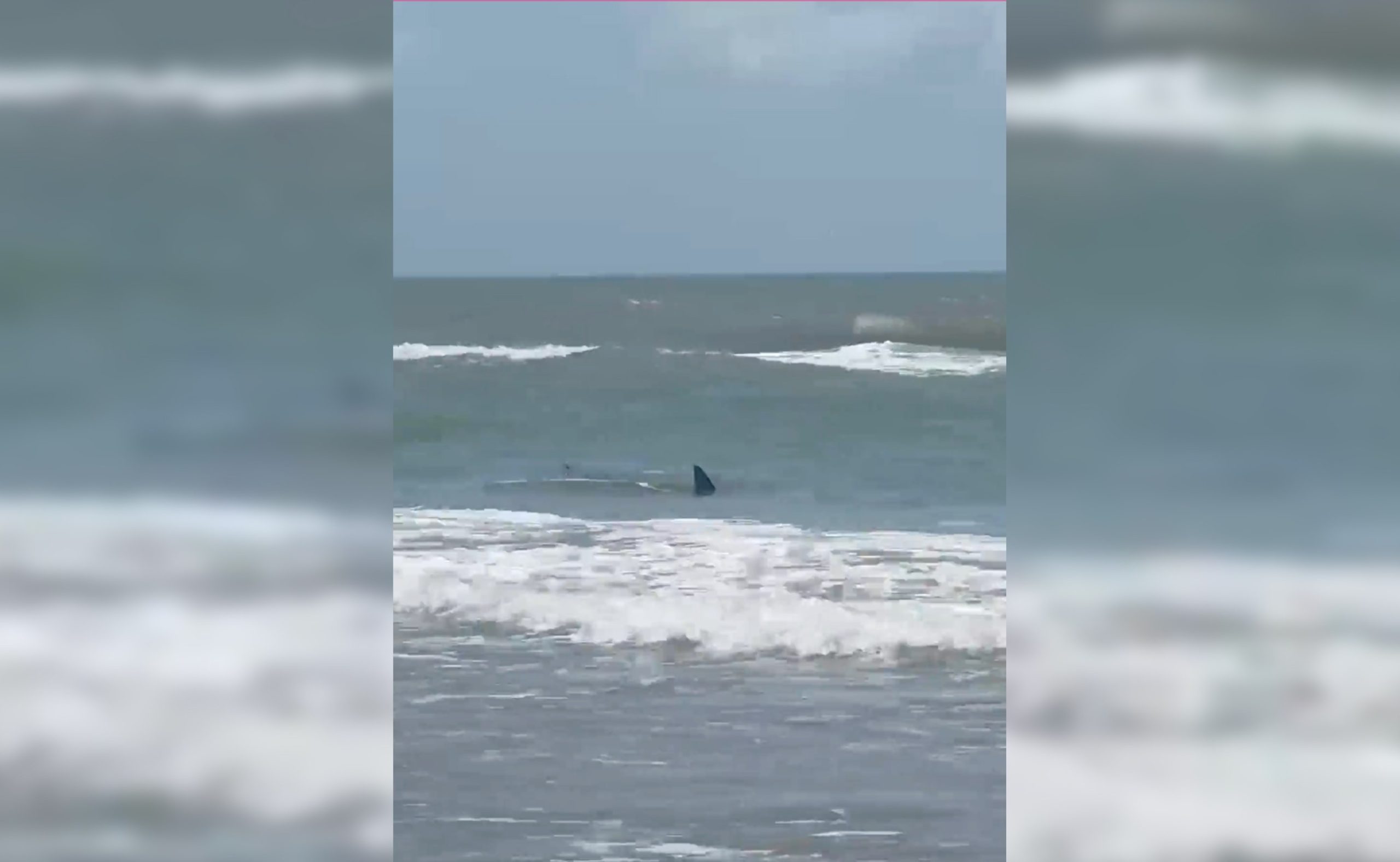 Man attacked by shark in waters off South Padre Island on Fourth of July