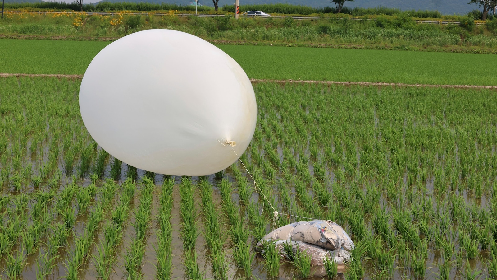 North Korea Increases Frequency of Trash Balloon Launches in Response to South Korea's Resumption of Propaganda Broadcasts