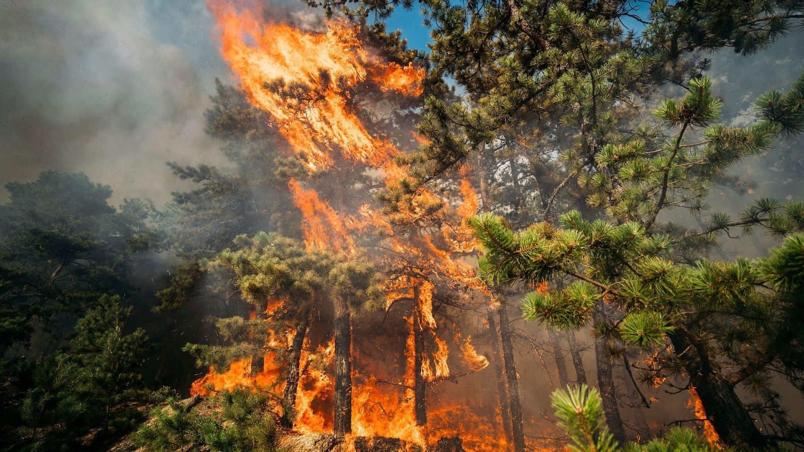 Overnight rain helps contain forest fire at New Jersey military base to at least 80%