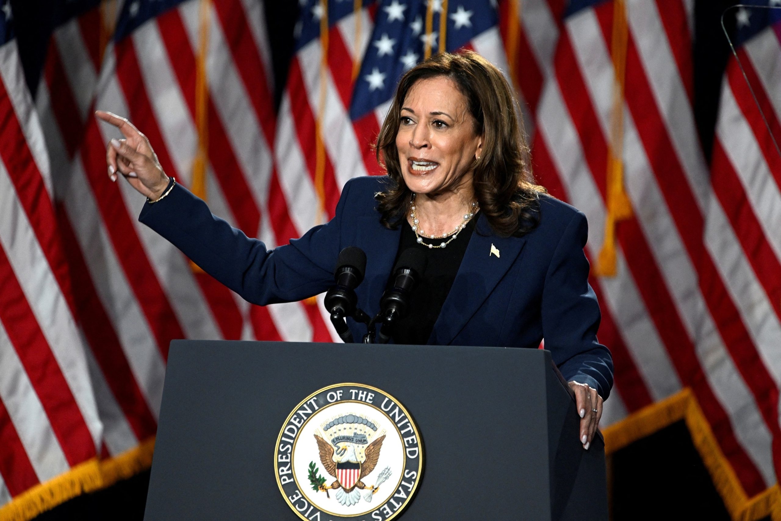 Poll shows increase in favorability for Harris following Biden's exit from race