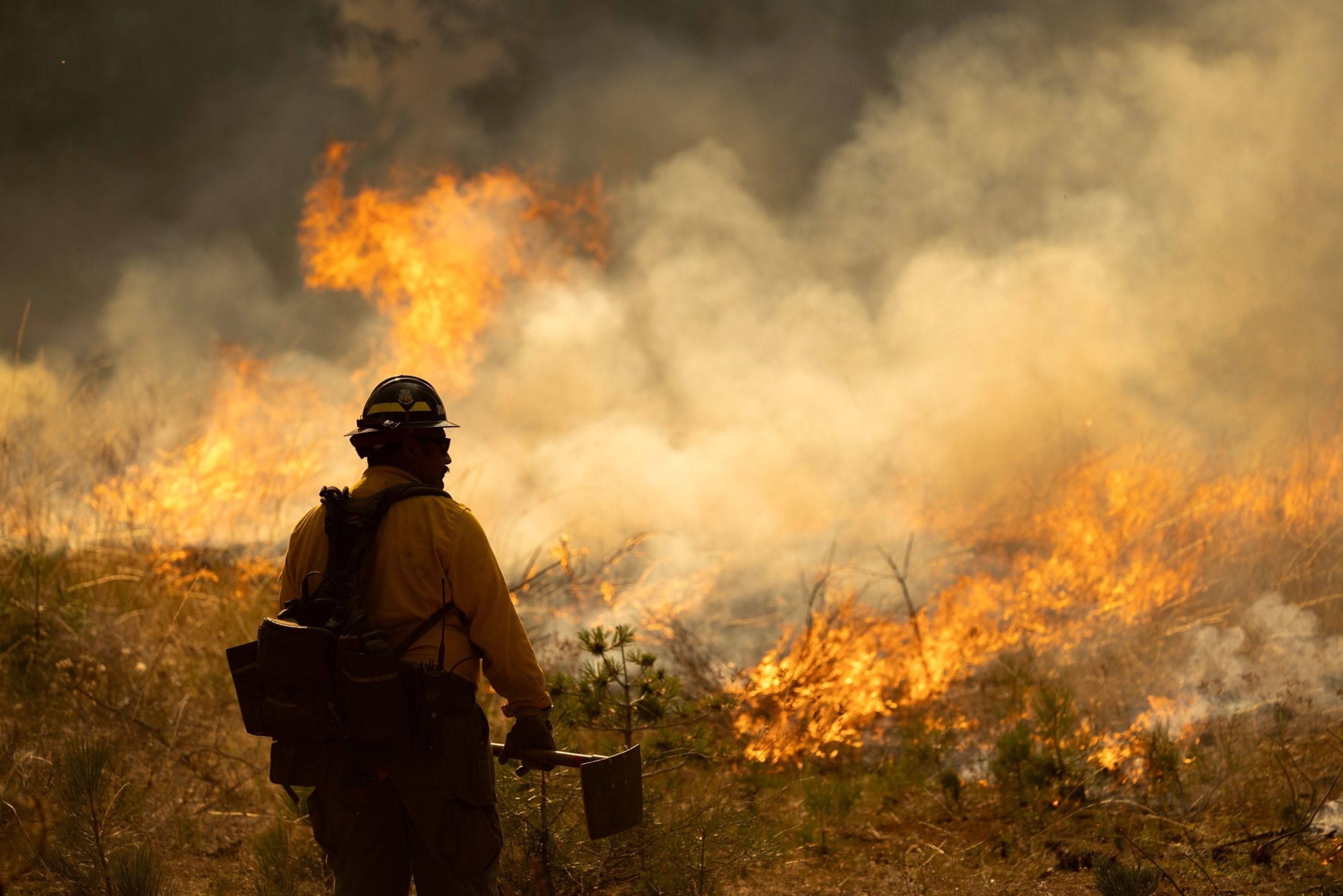 Suspect Charged with Felony Arson for Allegedly Igniting Largest Wildfire in US Park