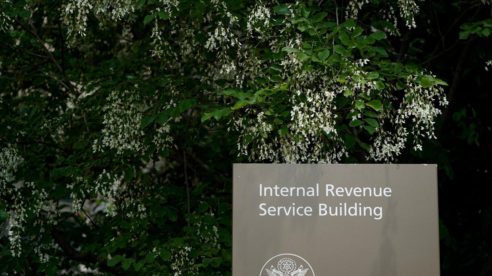 The IRS Successfully Collects $1 Billion in Back Taxes from High-Wealth Taxpayers