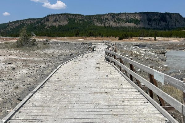 Unexpected Eruption at Yellowstone National Park Prompts Evacuation of Visitors