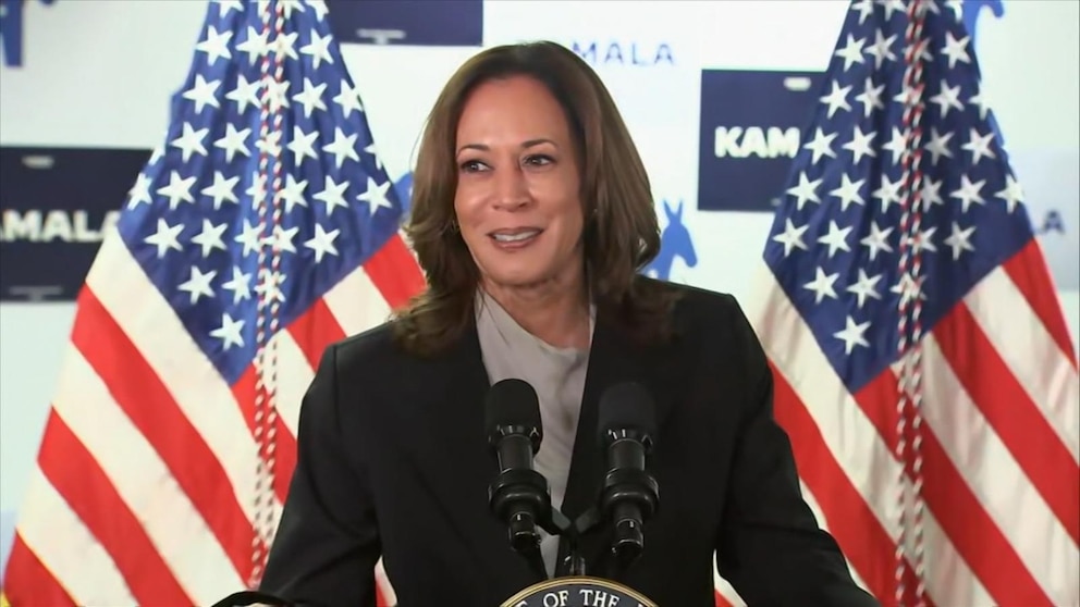 Video Harris presents arguments against Trump as Democrats show support for her