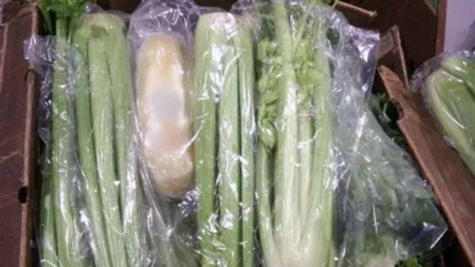 A discovery of over 600 pounds of methamphetamine concealed in a celery shipment