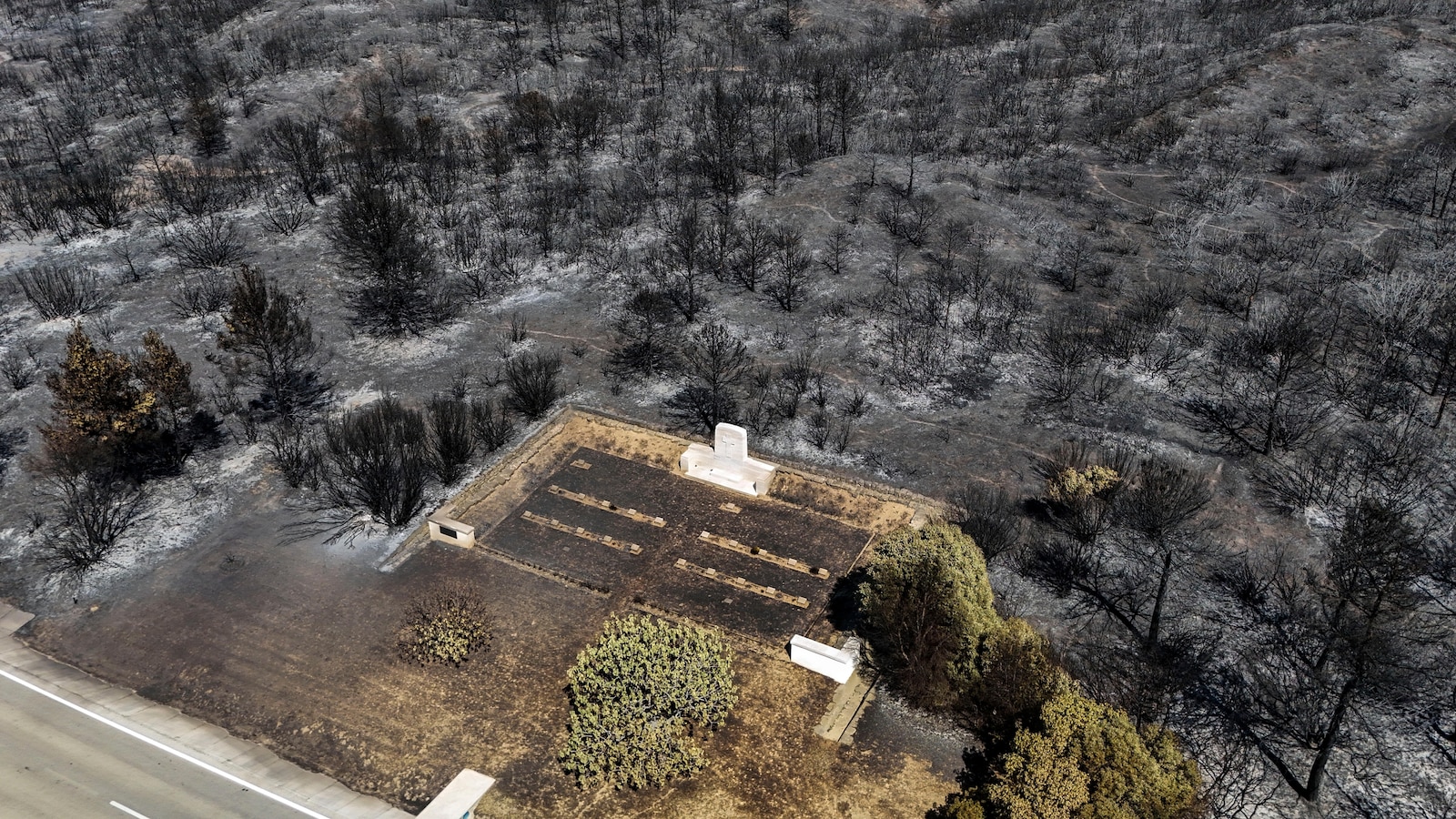 Ongoing Wildfires in Western Turkey Fueled by Windy and Dry Conditions for Third Consecutive Day