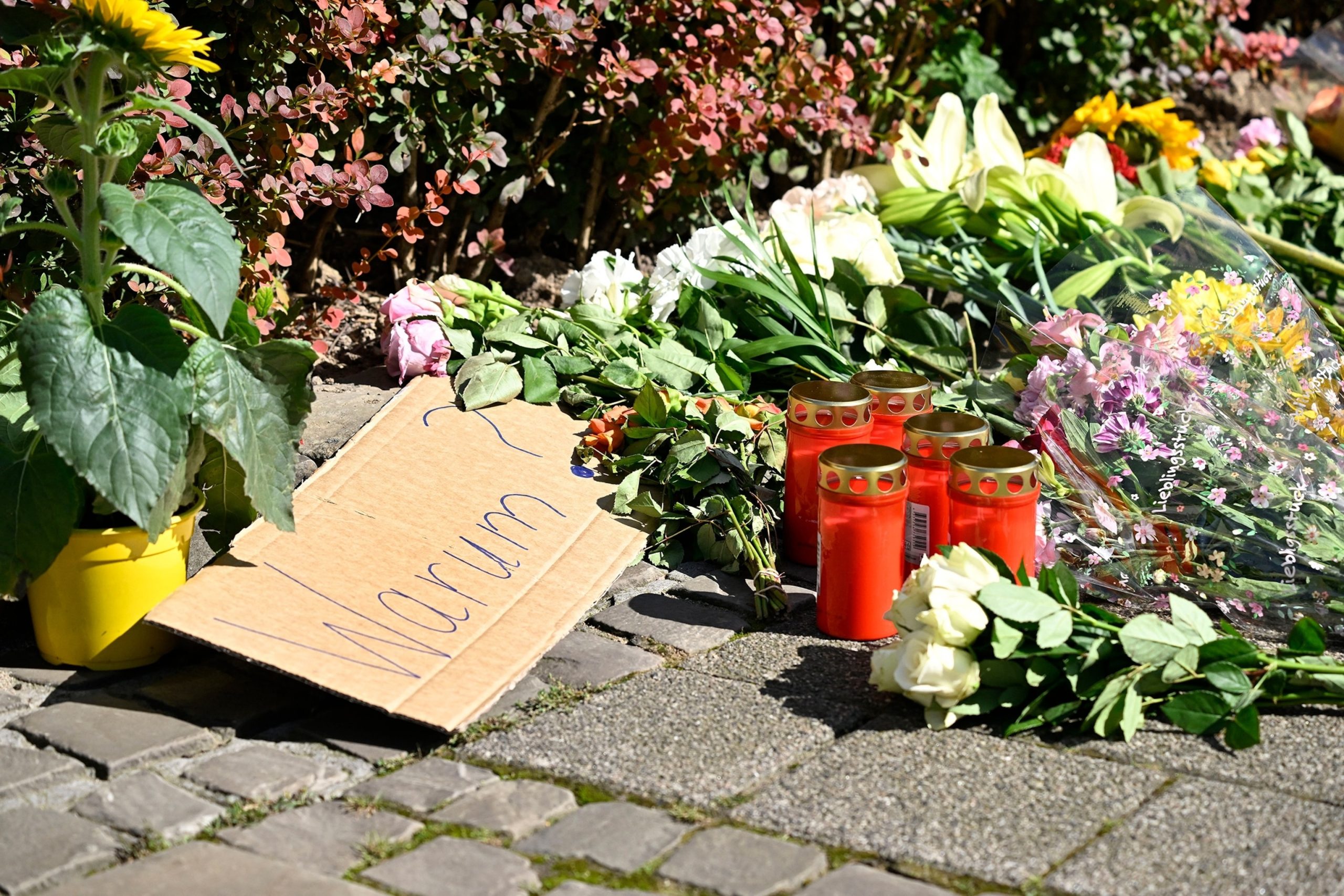 Police detain one individual in connection with deadly knife attack at German music festival